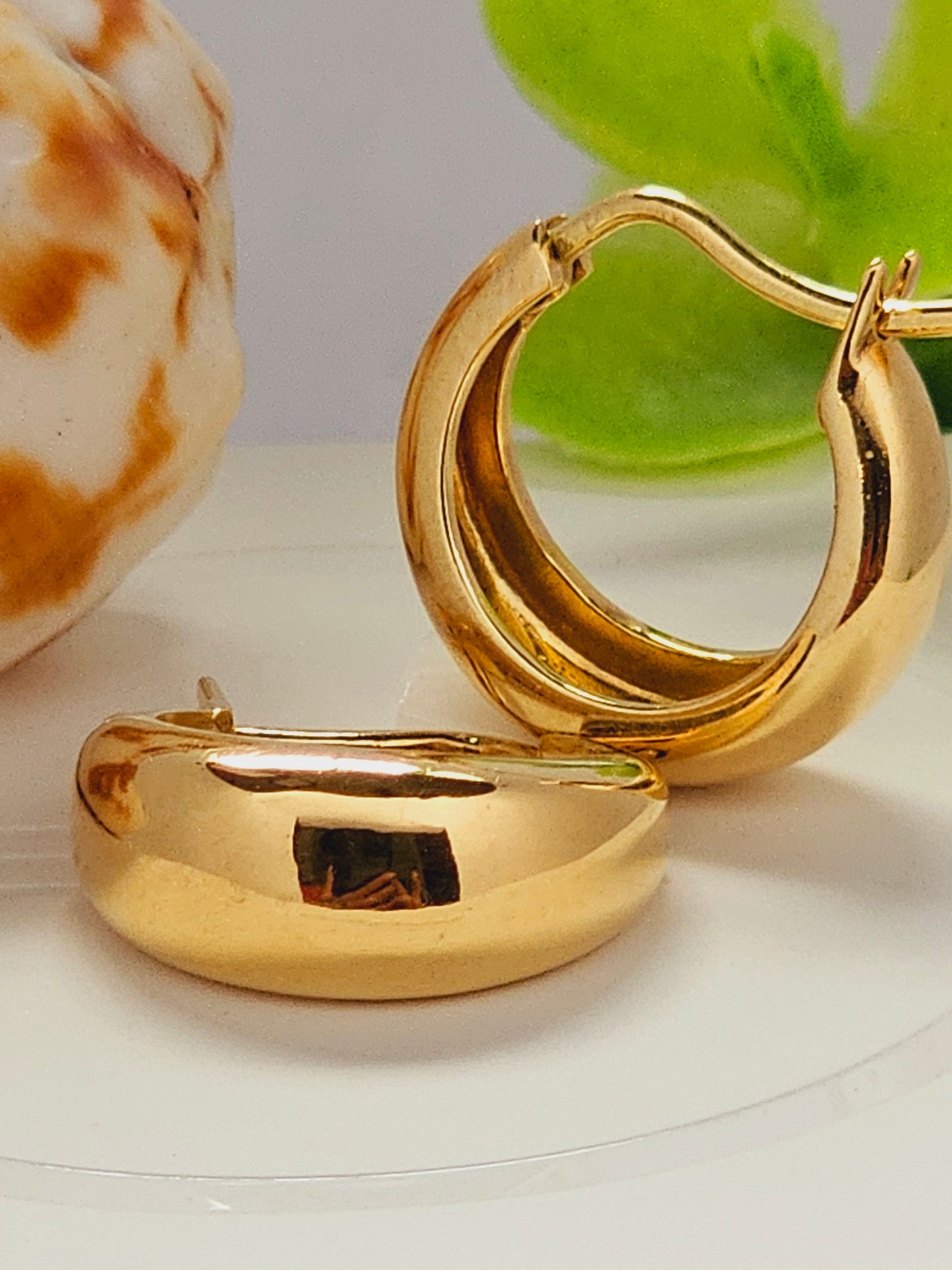 Argolla modelo Canoa
